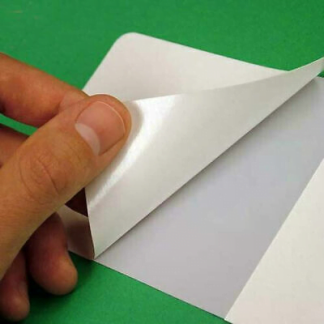 Stickers - Digitally Printed